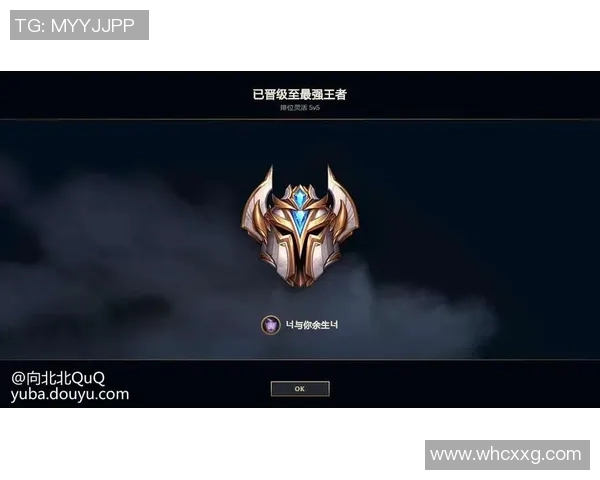 王丽畅谈和平精英生涯与S15LOL比赛比分的精彩对话